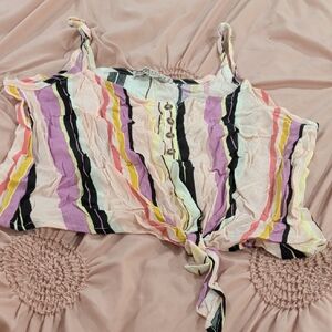 Multicolor Striped Crop Top